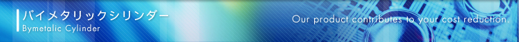 �o�C���^���b�N�V�����_�[